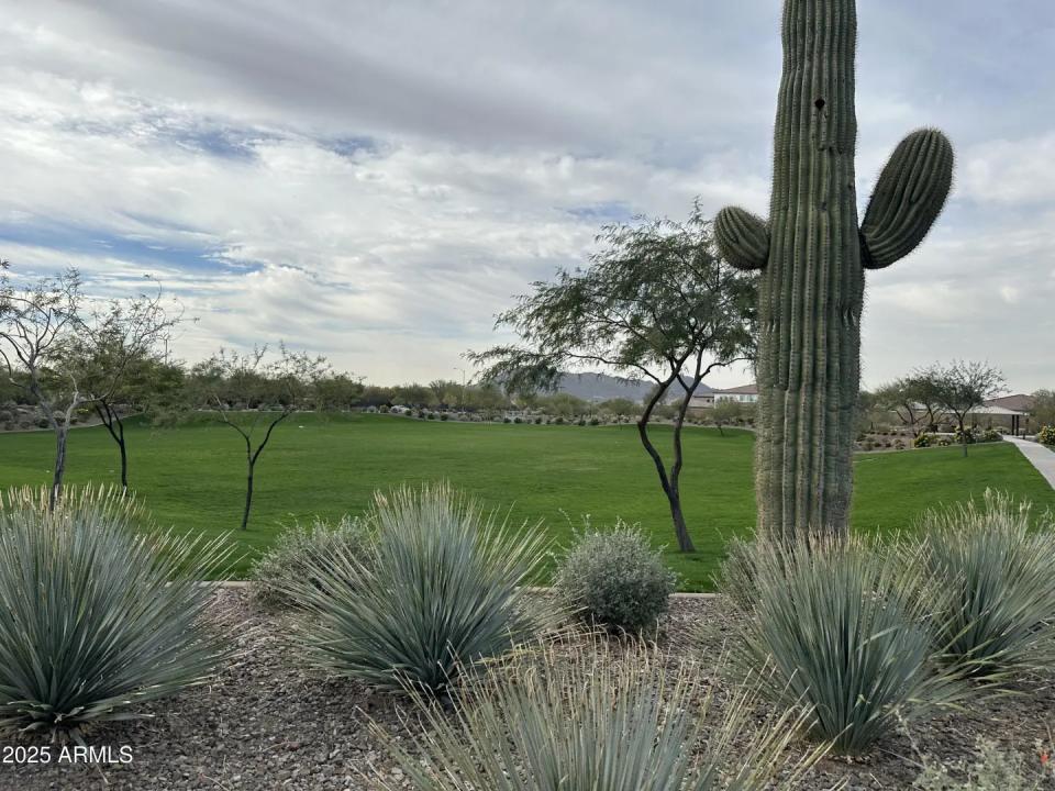 Real Estate Picture 9