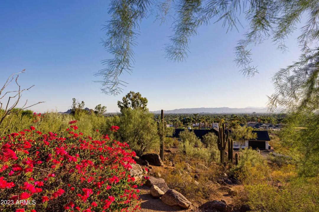 Real Estate Picture 41