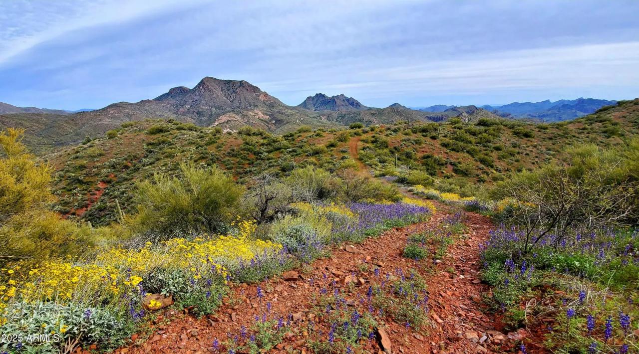 Real Estate Picture 52