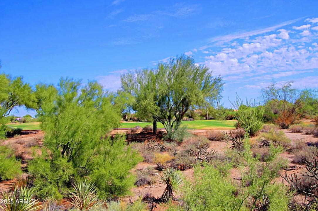 Real Estate Picture 8