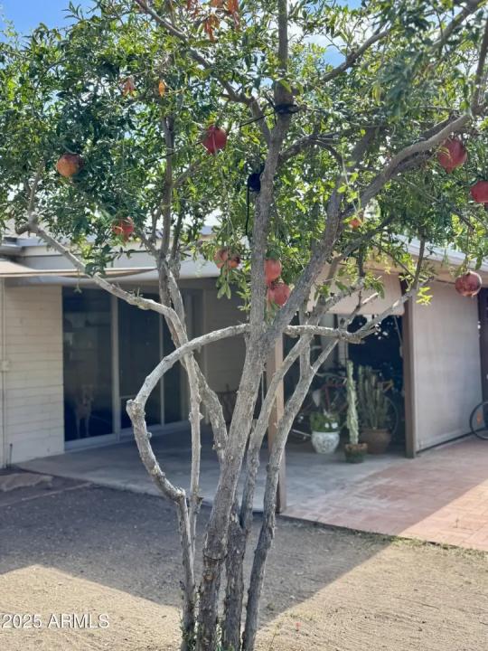 Real Estate Picture 24