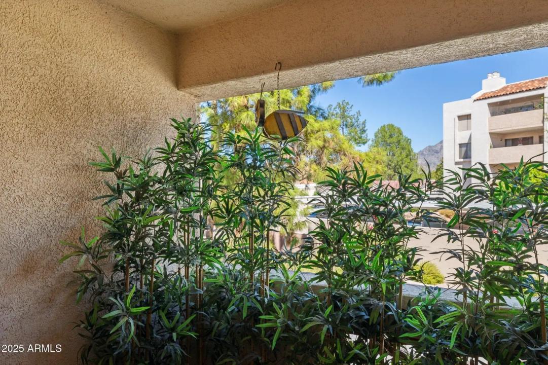 Real Estate Picture 14