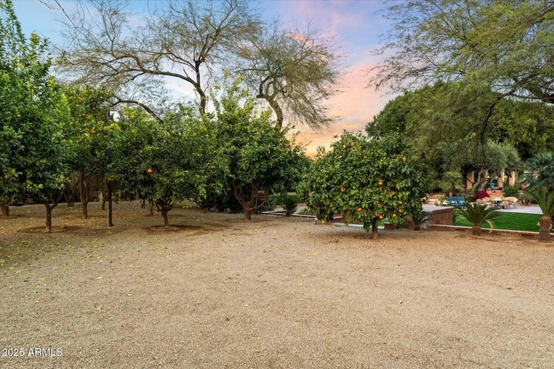 Real Estate Picture 89