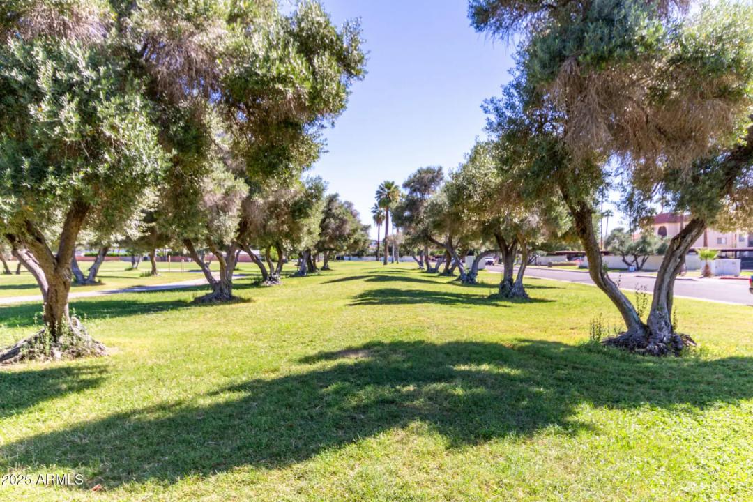 Real Estate Picture 26