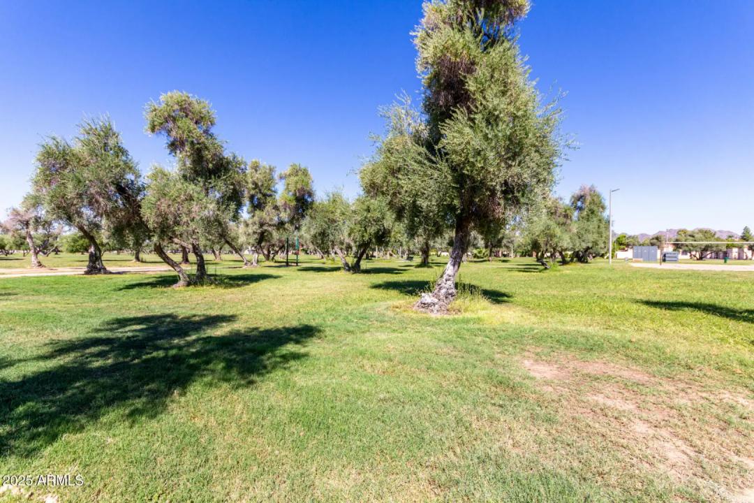 Real Estate Picture 28