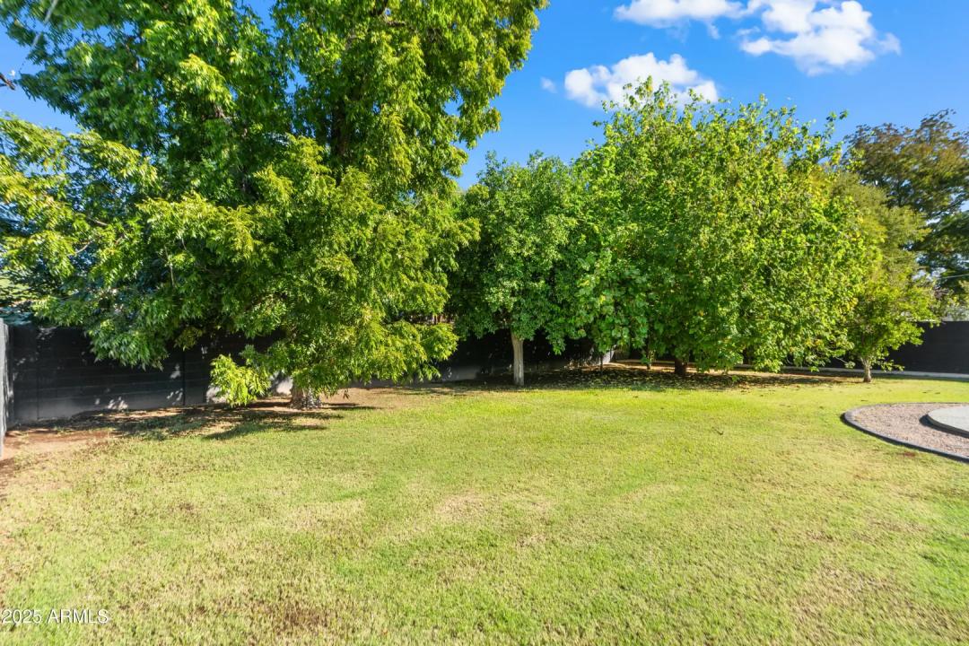 Real Estate Picture 38