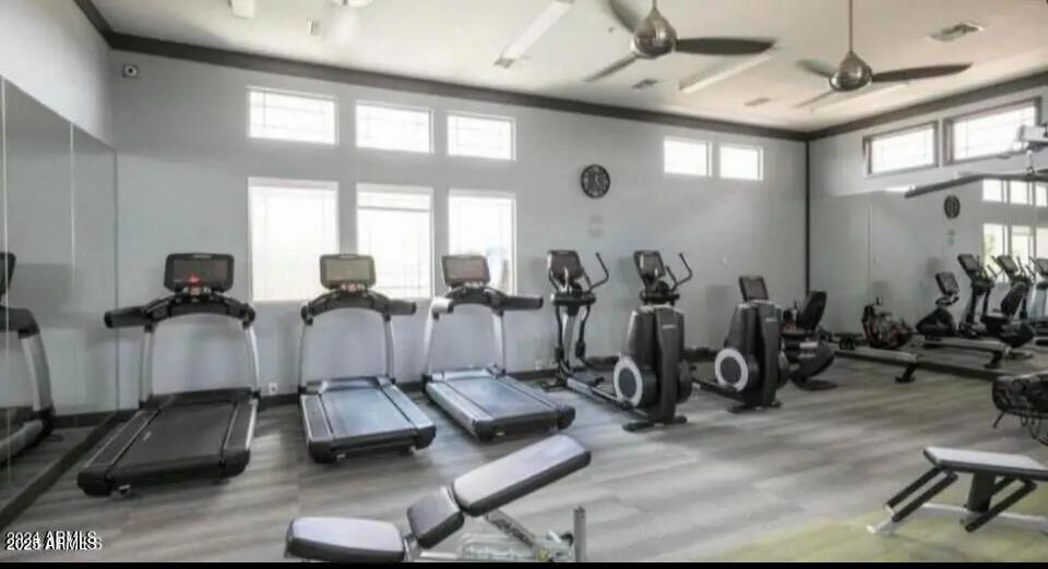 Real Estate Picture 46