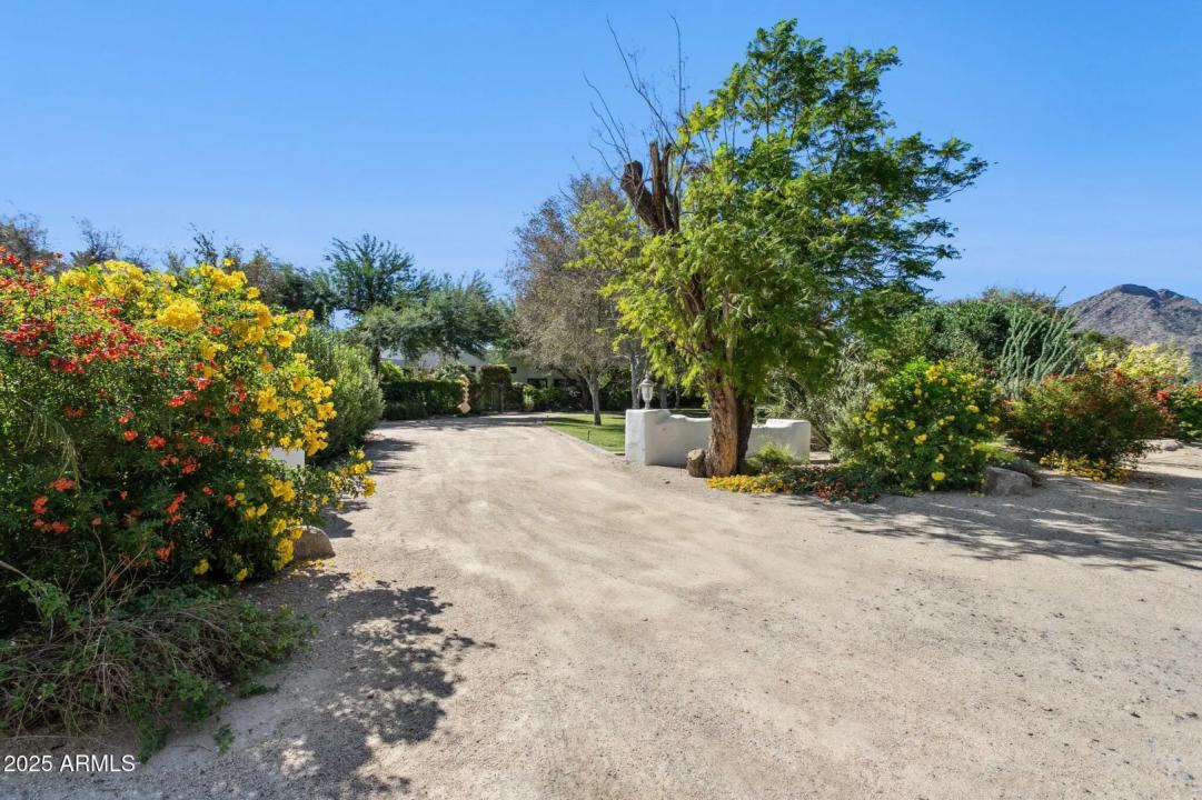 Real Estate Picture 3