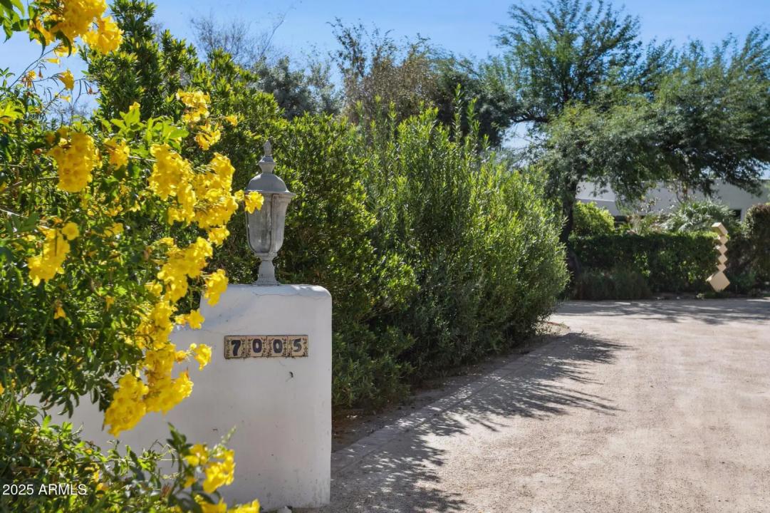 Real Estate Picture 4