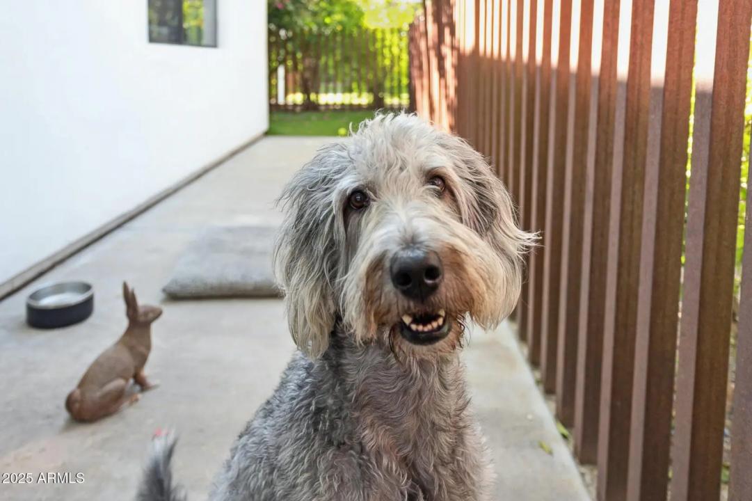 Real Estate Picture 55