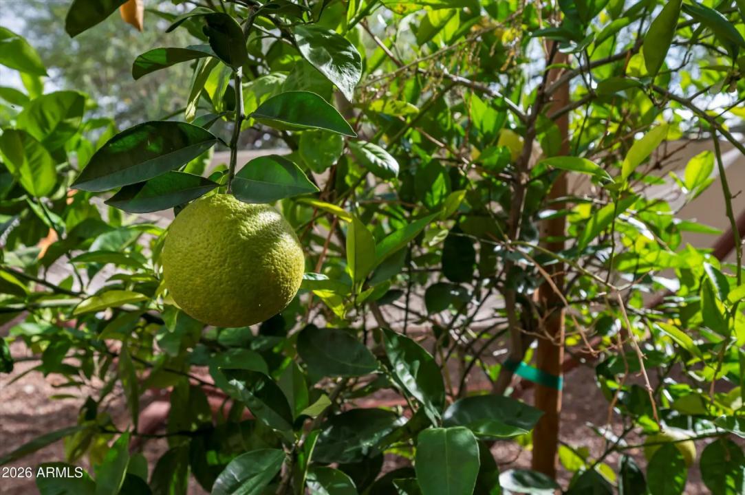 Real Estate Picture 72