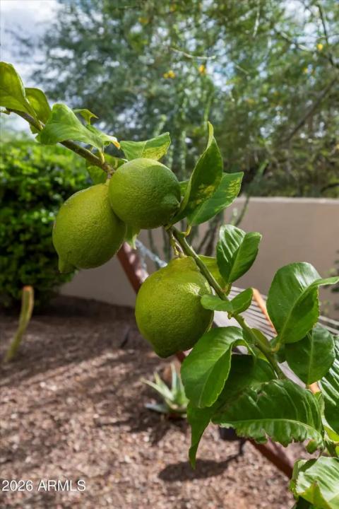 Real Estate Picture 73