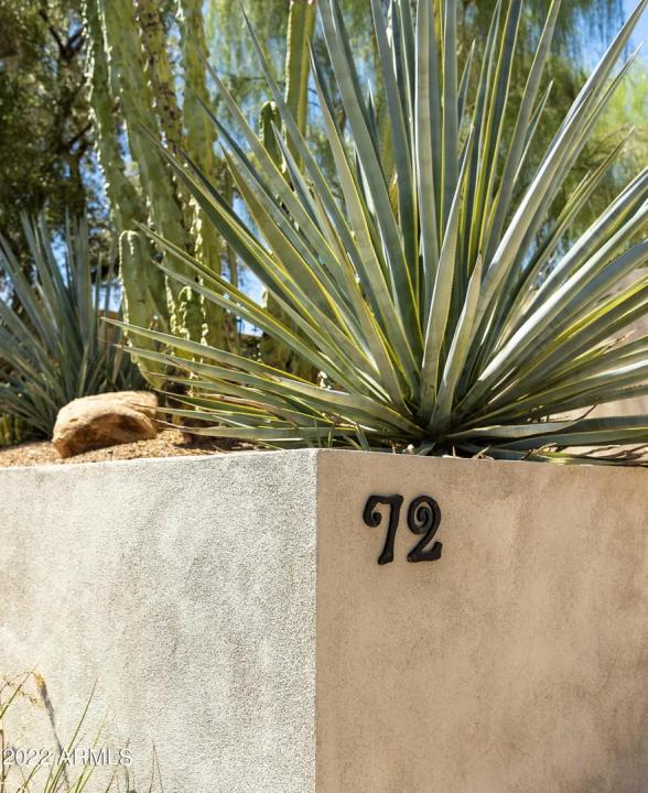 Real Estate Picture 4