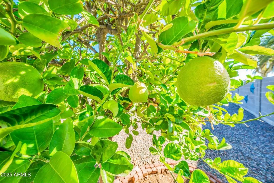 Real Estate Picture 31