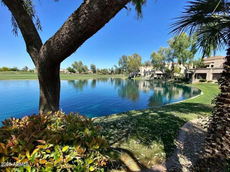 Real Estate Picture 6