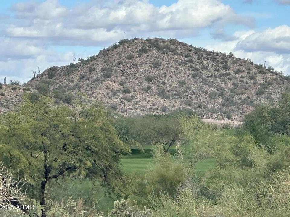 Real Estate Picture 3