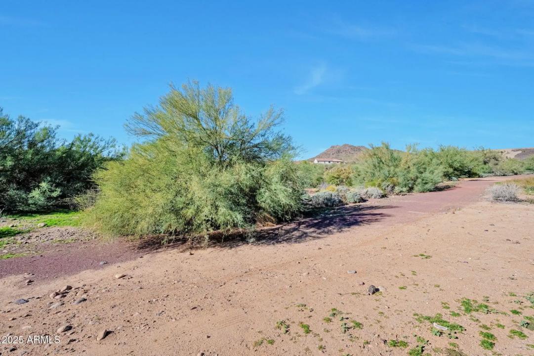 Real Estate Picture 29