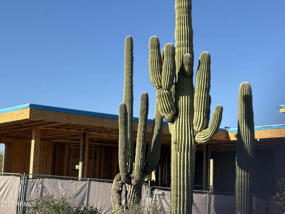 Real Estate Picture 6