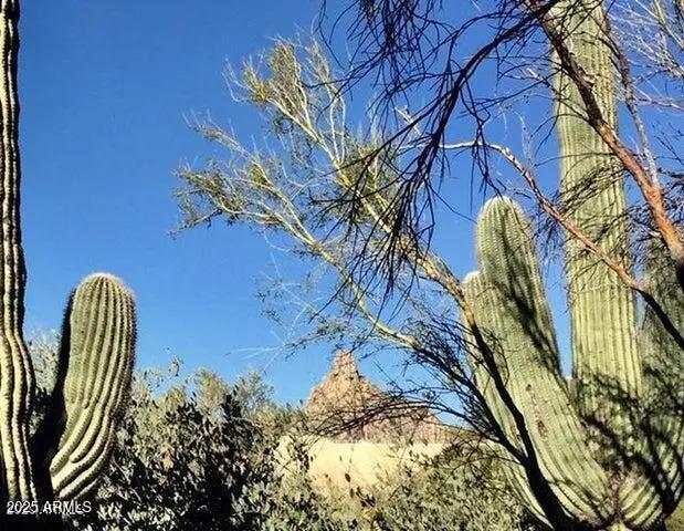 Real Estate Picture 23