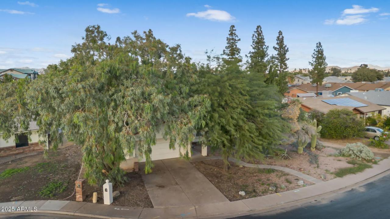 Real Estate Picture 48