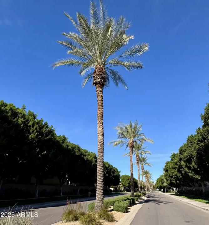 Real Estate Picture 11