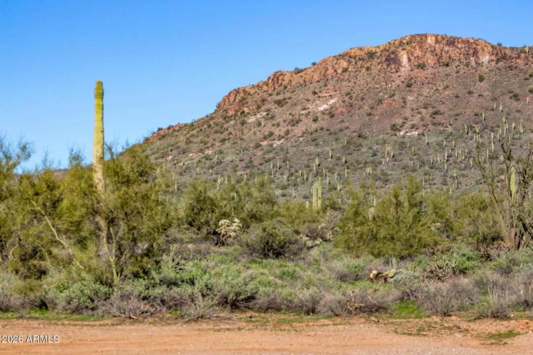 Real Estate Picture 66