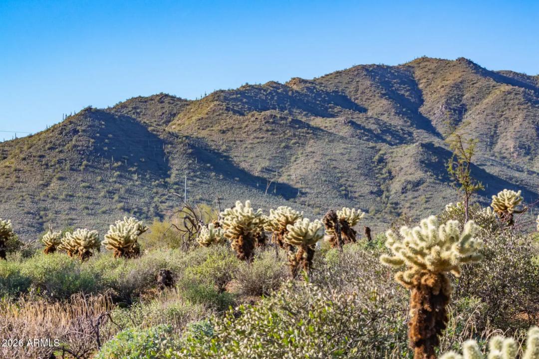 Real Estate Picture 67