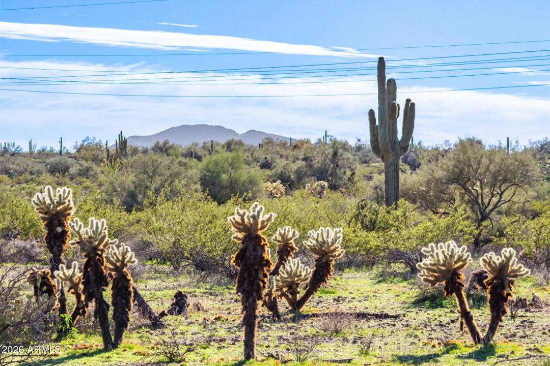 Real Estate Picture 68