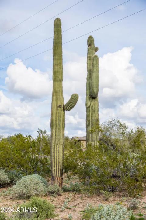 Real Estate Picture 2