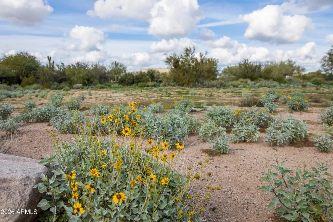 Real Estate Picture 3