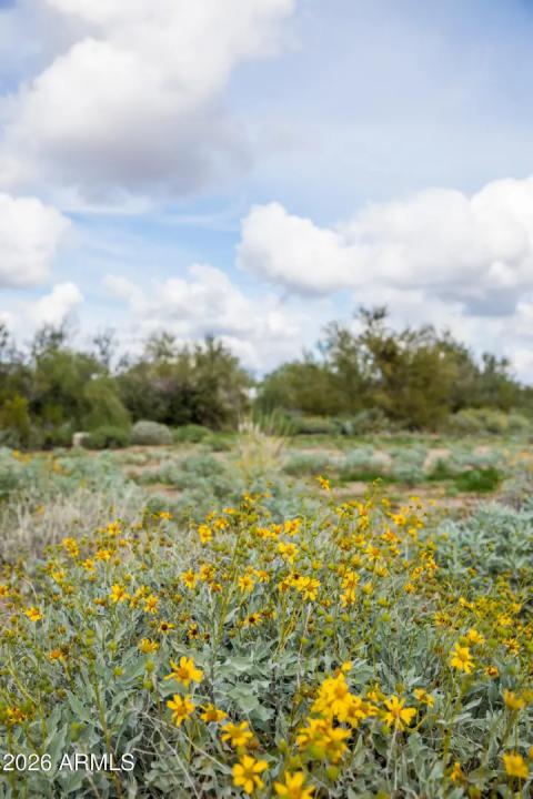 Real Estate Picture 5