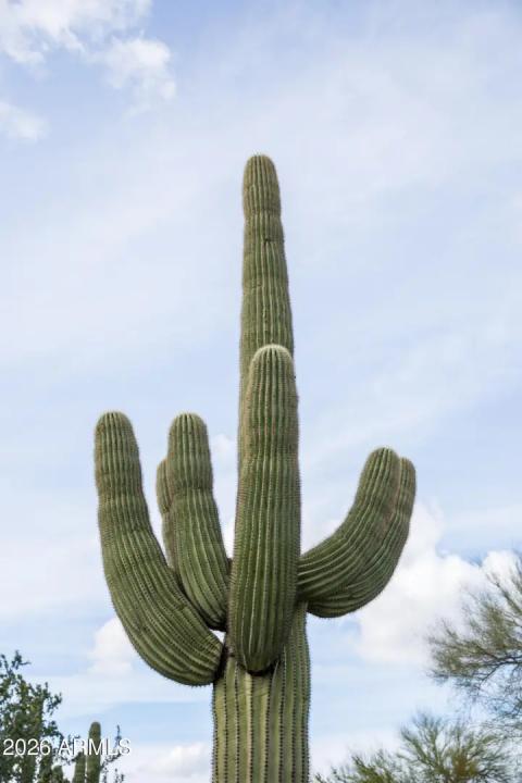 Real Estate Picture 7