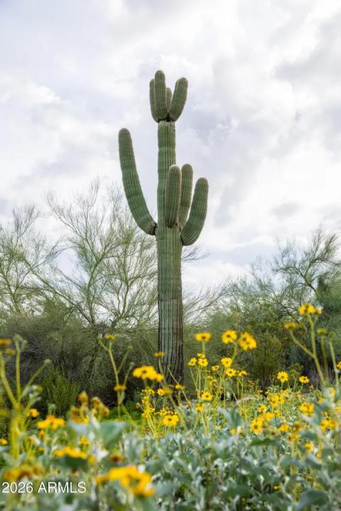 Real Estate Picture 9