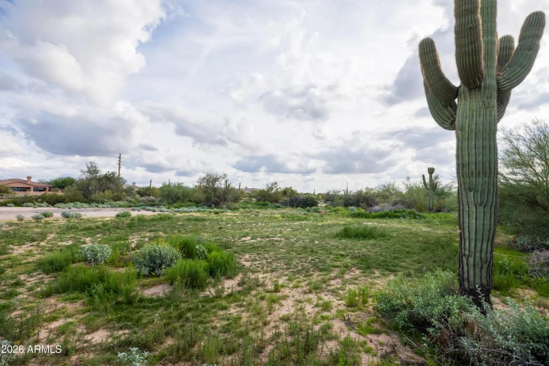 Real Estate Picture 14