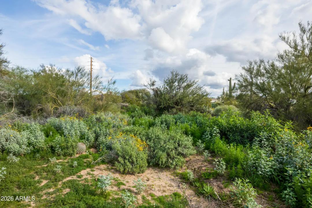 Real Estate Picture 17