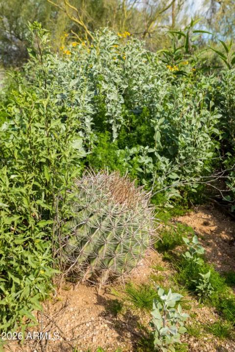 Real Estate Picture 18