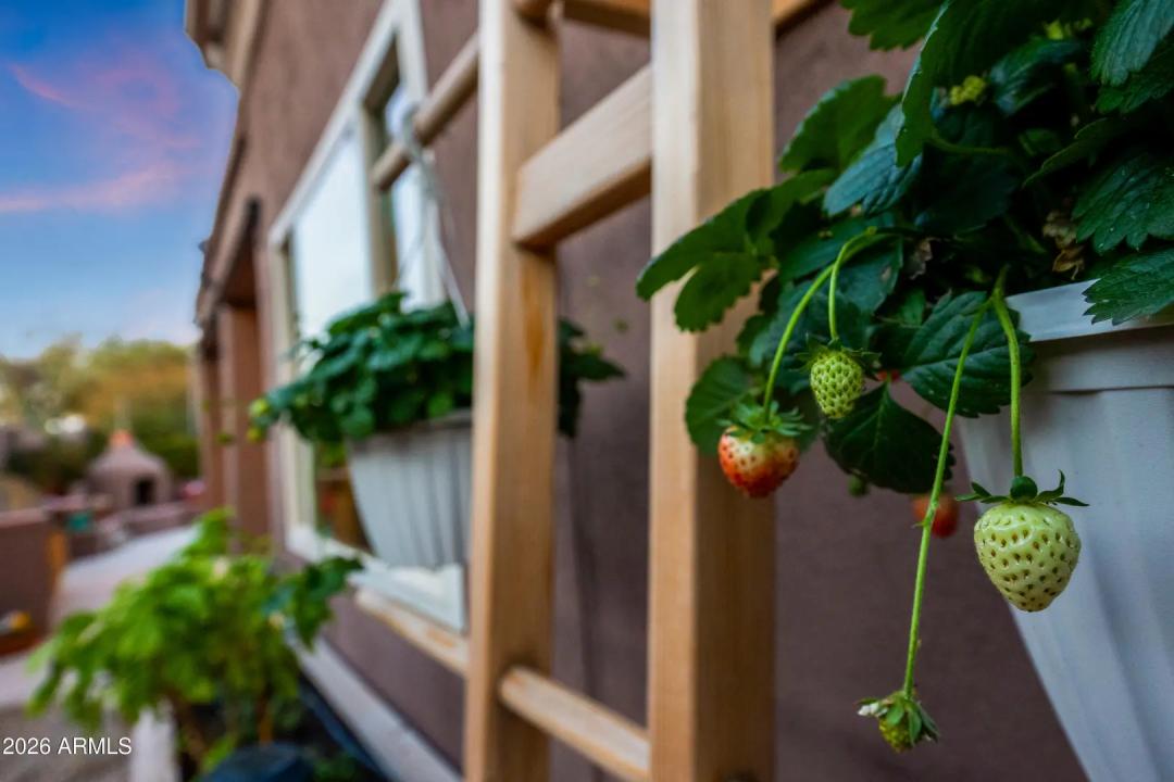 Real Estate Picture 16