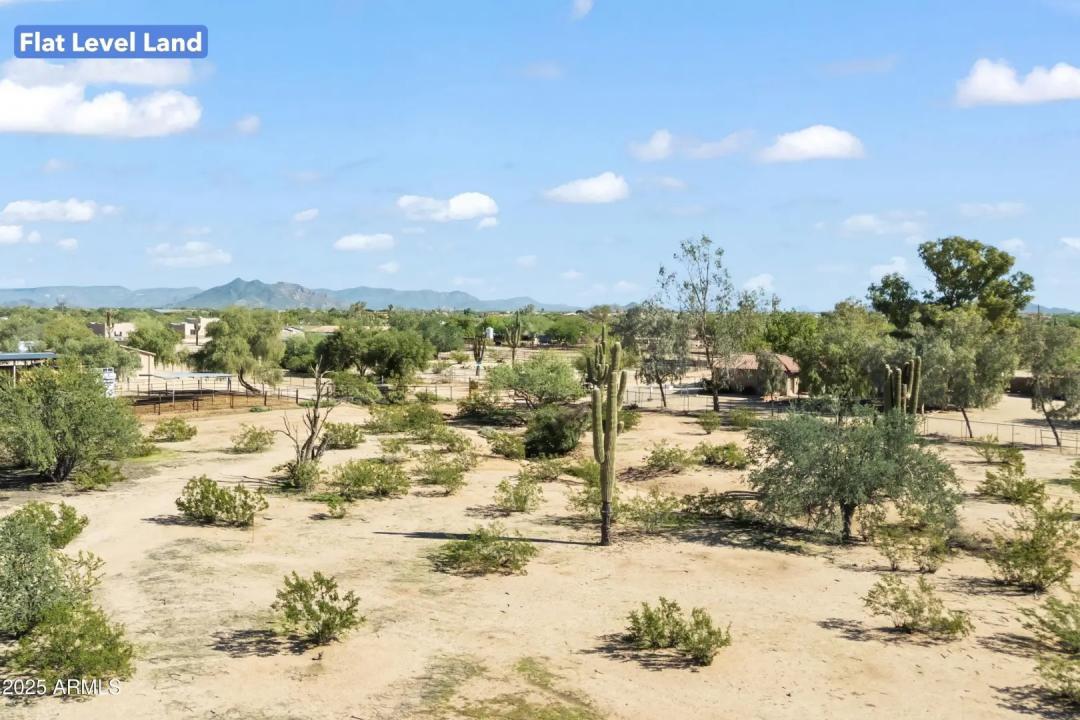 Real Estate Picture 6