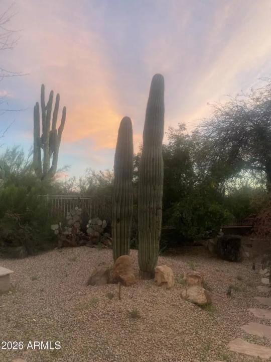 Real Estate Picture 32