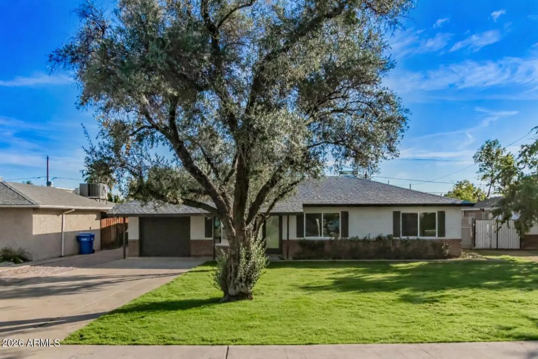 Real Estate Picture 1