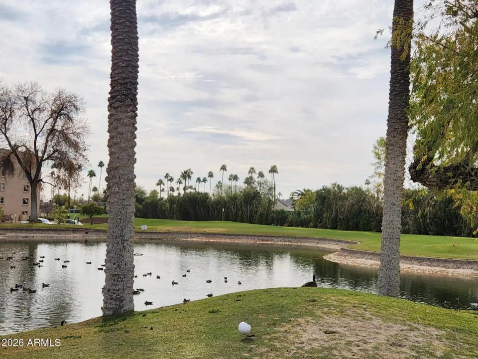 Real Estate Picture 24