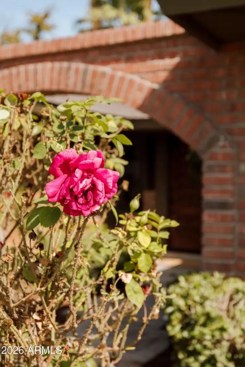 Real Estate Picture 4