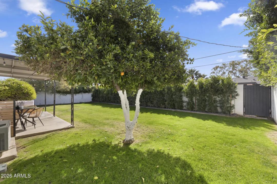 Real Estate Picture 21