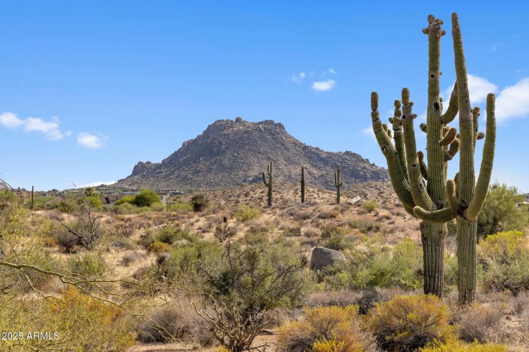 Real Estate Picture 2