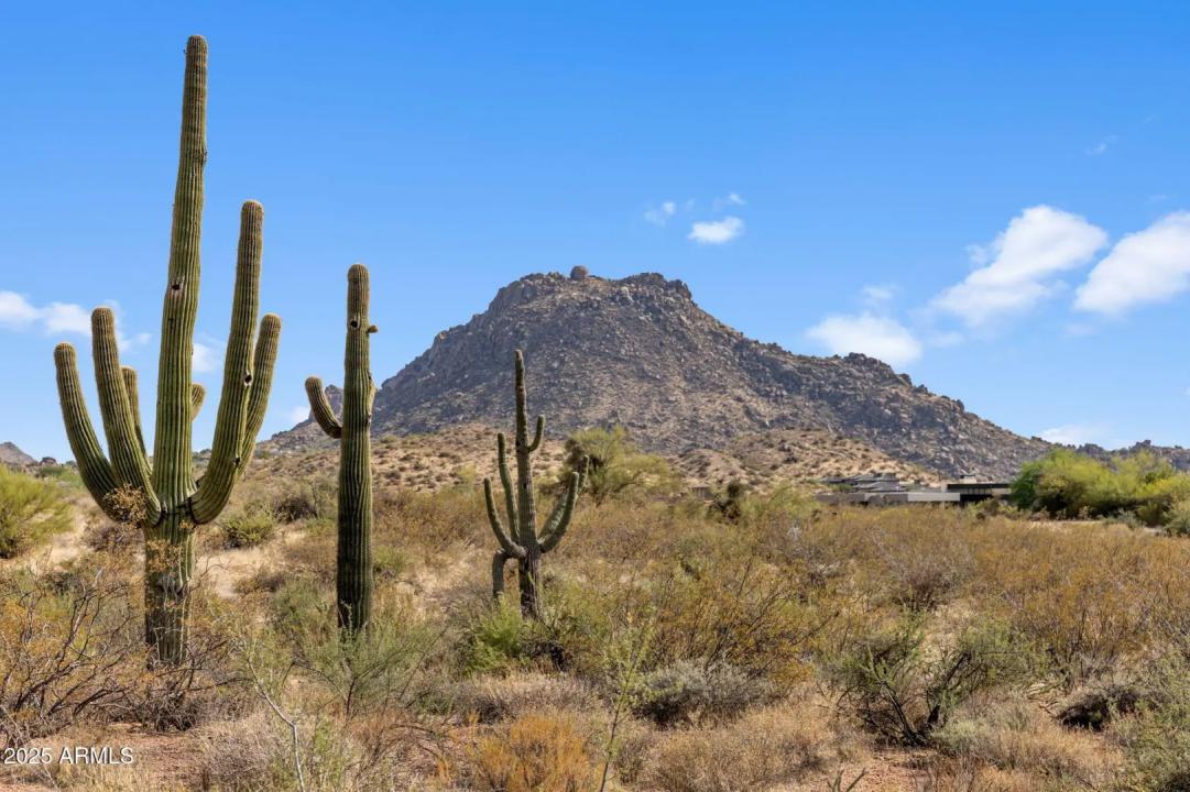 Real Estate Picture 3