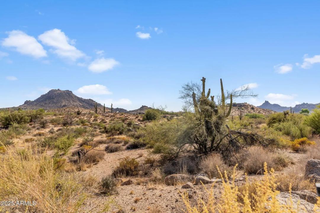 Real Estate Picture 4