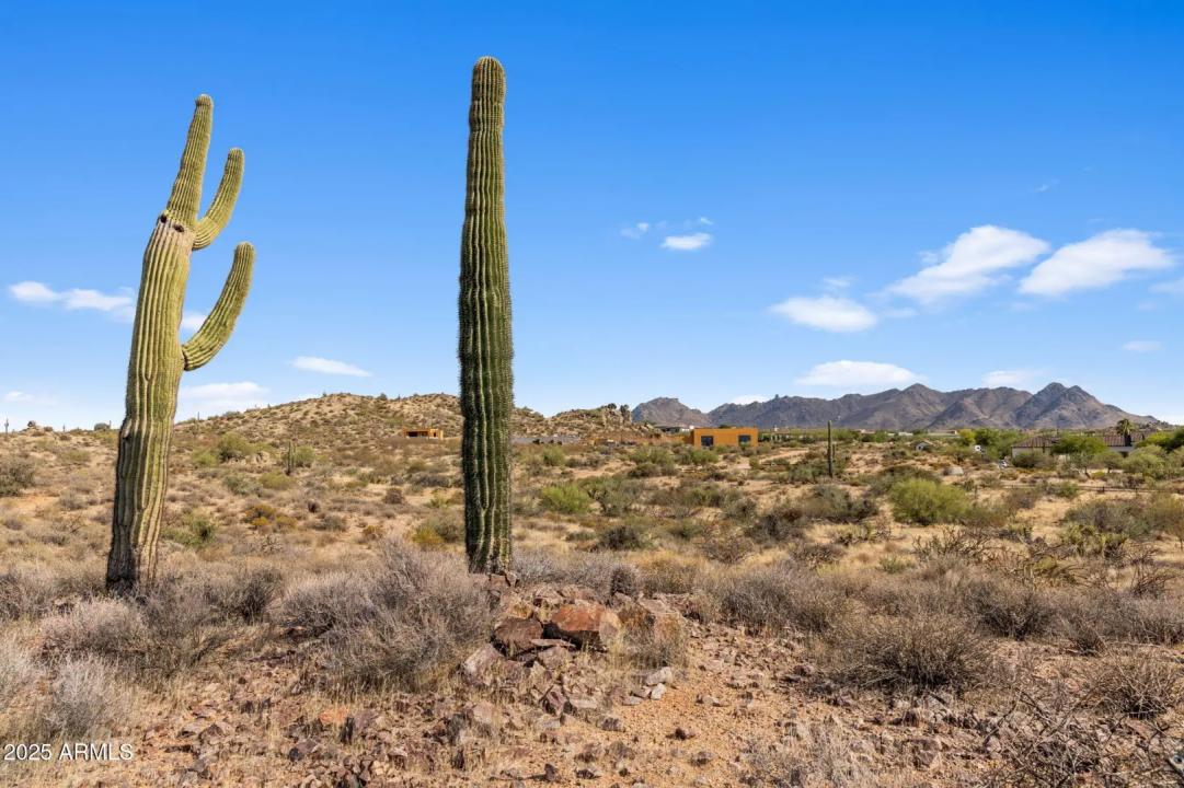 Real Estate Picture 8