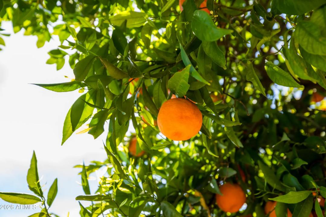 Real Estate Picture 31