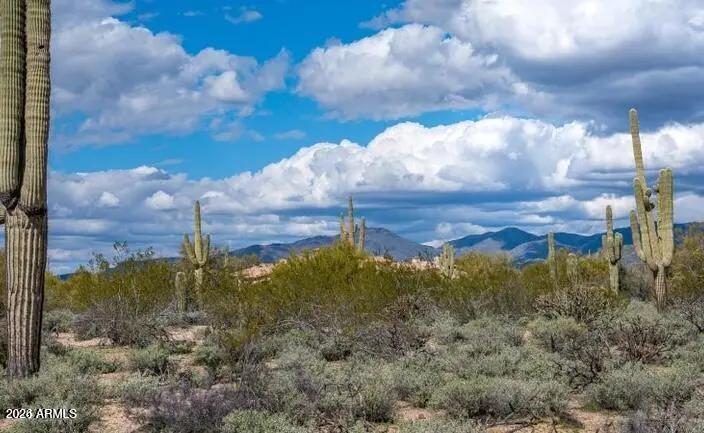 Real Estate Picture 21