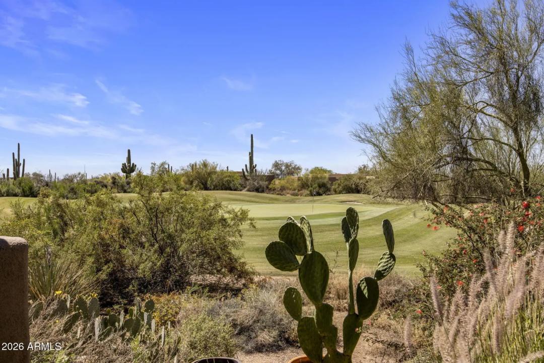 Real Estate Picture 4